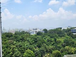 Normanton Park (D5), Apartment #567422421